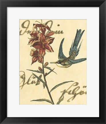 Framed Hummingbird Reverie IV Print