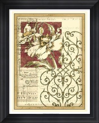 Framed Bella Sonata I Print