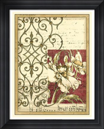 Framed Bella Sonata II Print