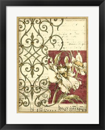 Framed Bella Sonata II Print