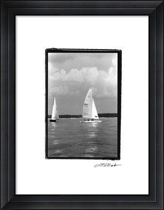 Framed Ocean Breeze III Print