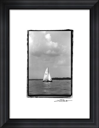 Framed Ocean Breeze IV Print