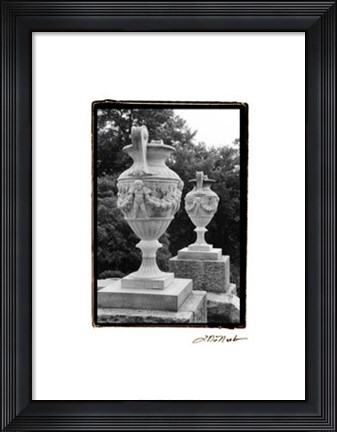 Framed Garden Elegance IV Print