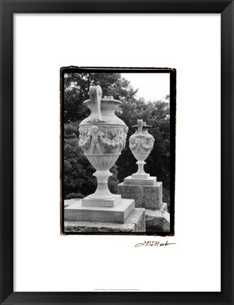 Framed Garden Elegance IV Print