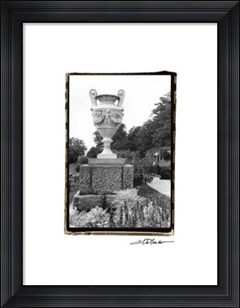 Framed Garden Elegance V Print