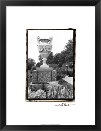 Framed Garden Elegance V Print