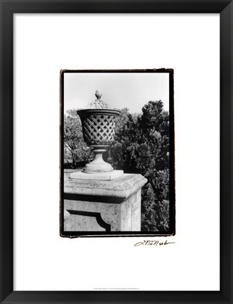 Framed Garden Elegance VI Print