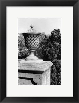 Framed Garden Elegance VI Print