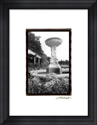 Framed Garden Elegance VII Print