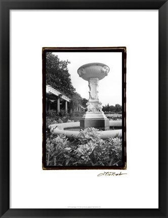Framed Garden Elegance VII Print