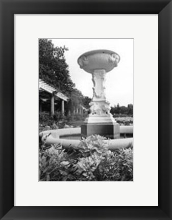 Framed Garden Elegance VII Print