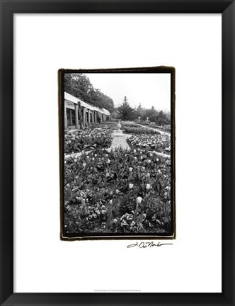 Framed Garden Elegance VIII Print
