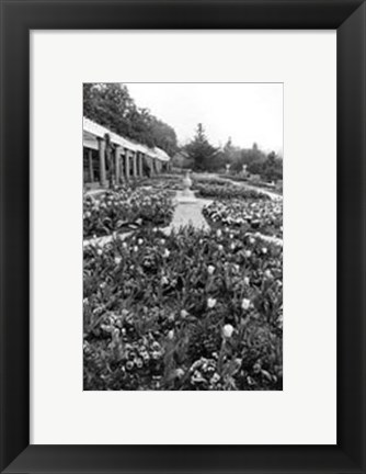 Framed Garden Elegance VIII Print
