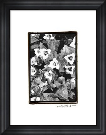 Framed Springtime Garden I Print