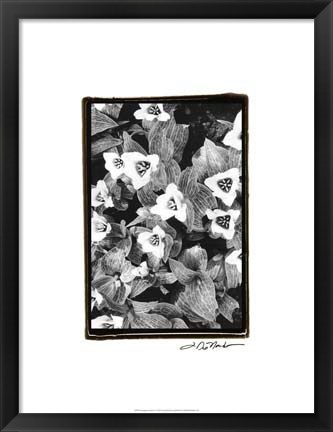 Framed Springtime Garden I Print