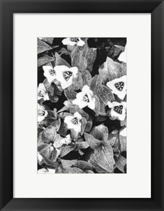 Framed Springtime Garden I Print