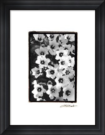 Framed Springtime Garden II Print