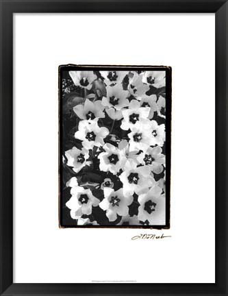 Framed Springtime Garden II Print