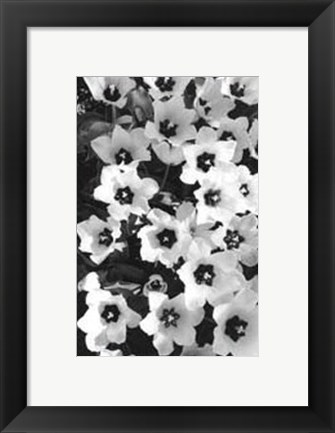 Framed Springtime Garden II Print