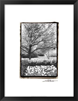 Framed Springtime Garden III Print