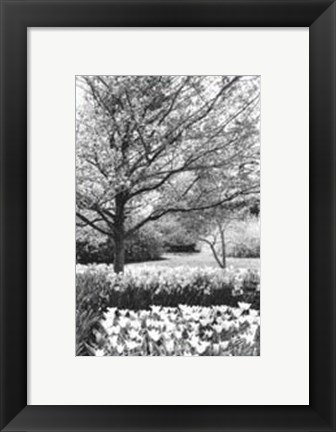 Framed Springtime Garden III Print