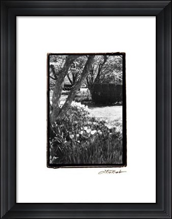 Framed Springtime Garden IV Print