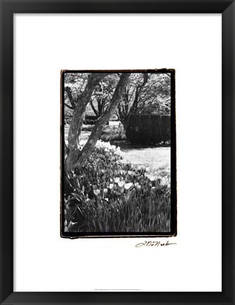 Framed Springtime Garden IV Print