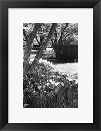 Framed Springtime Garden IV Print