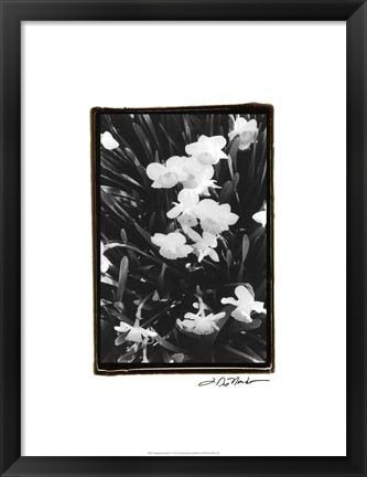 Framed Springtime Garden V Print
