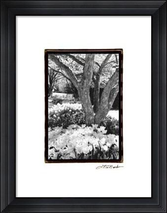 Framed Springtime Garden VI Print