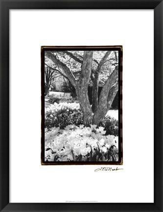 Framed Springtime Garden VI Print