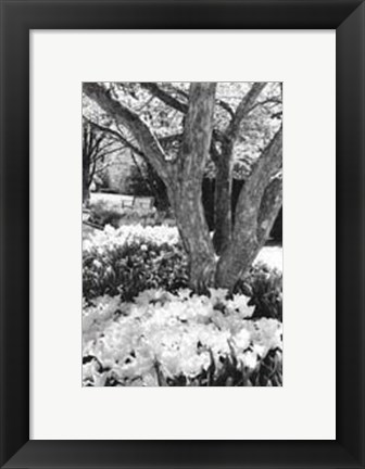 Framed Springtime Garden VI Print