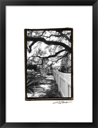 Framed Summer Shade I Print