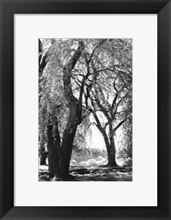 Framed Summer Shade III Print