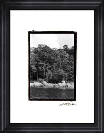 Framed Serene Lake IV Print