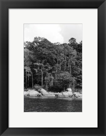 Framed Serene Lake IV Print