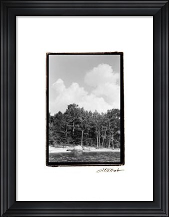 Framed Serene Lake V Print