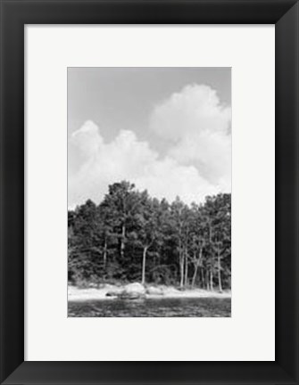 Framed Serene Lake V Print