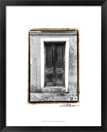 Framed Doors of Venice II Print