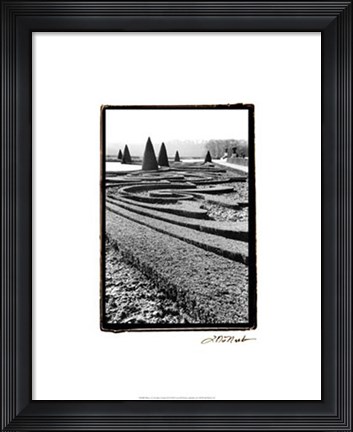 Framed Palace of Versailles Garden II Print