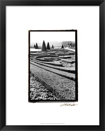 Framed Palace of Versailles Garden II Print