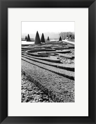 Framed Palace of Versailles Garden II Print
