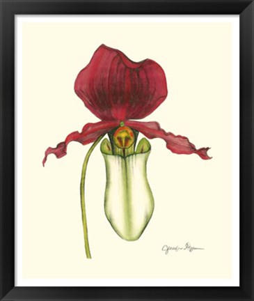 Framed Majestic Orchid I Print