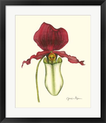 Framed Majestic Orchid I Print