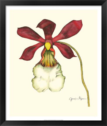 Framed Majestic Orchid II Print