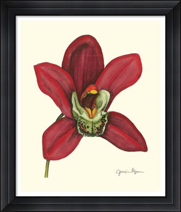 Framed Majestic Orchid III Print