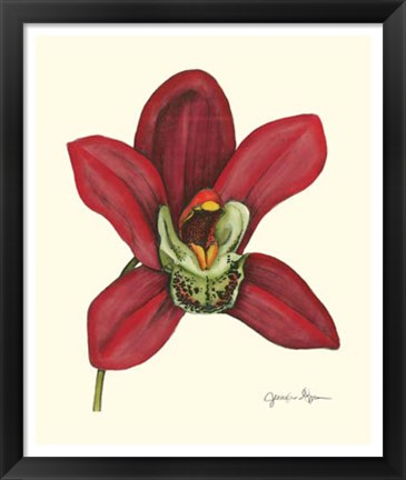 Framed Majestic Orchid III Print