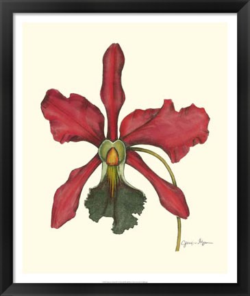 Framed Majestic Orchid IV Print