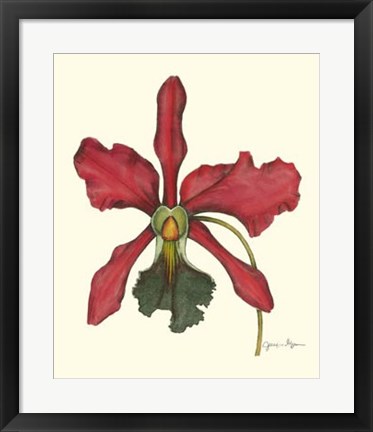 Framed Majestic Orchid IV Print