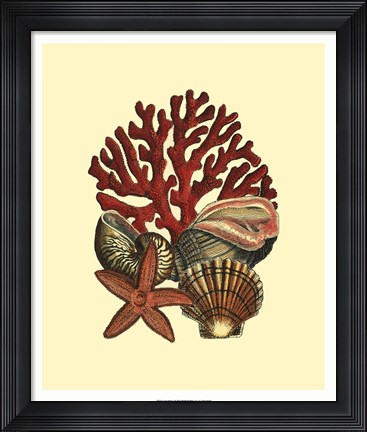 Framed Coral Medley I Print